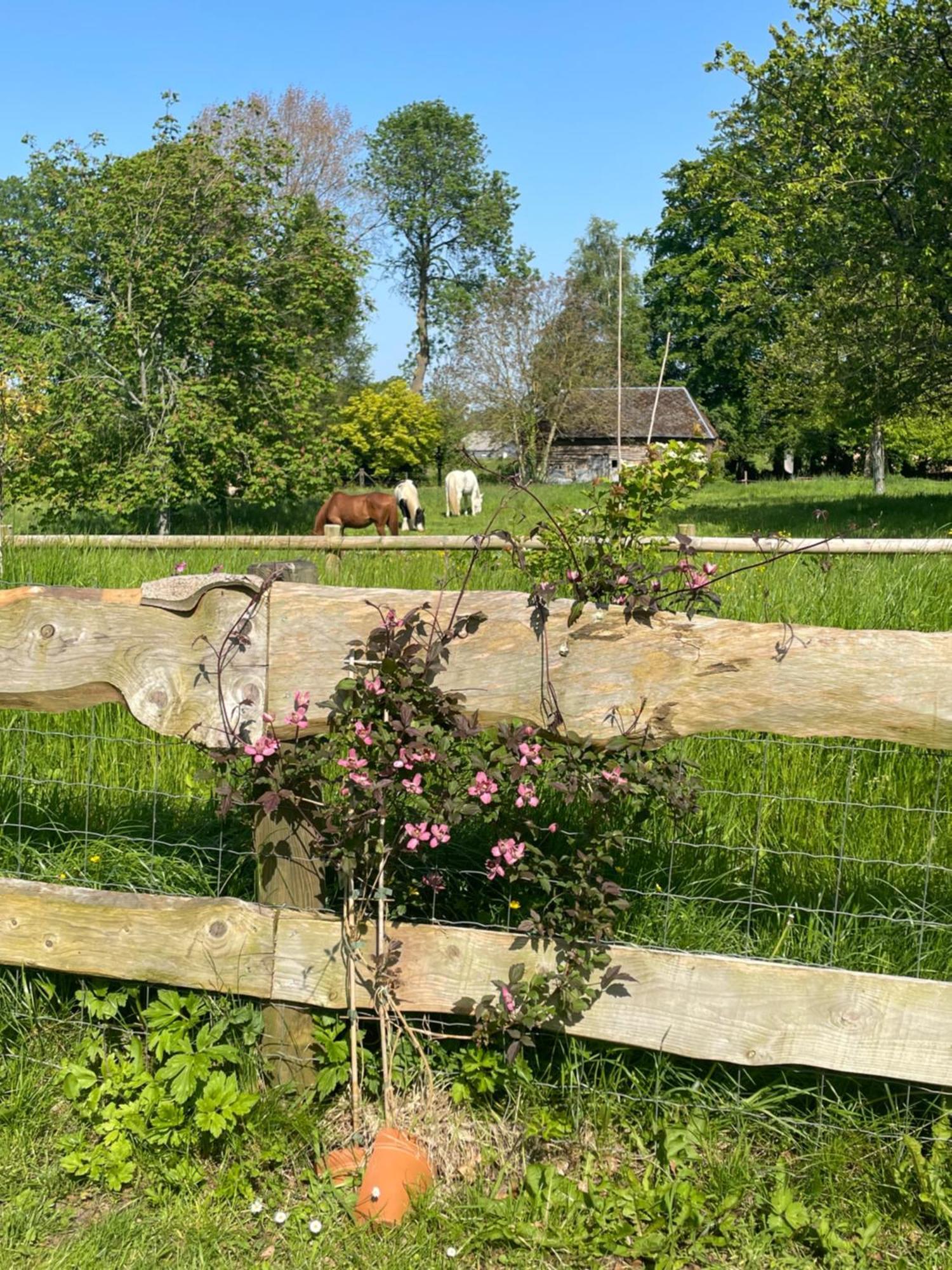 Le Clos Du Val A Loup Benarville Bagian luar foto