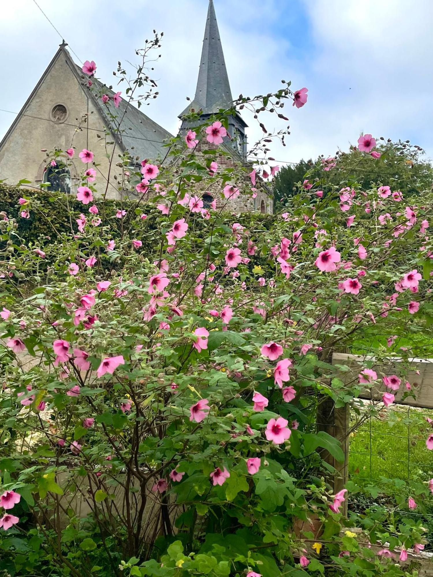 Le Clos Du Val A Loup Benarville Bagian luar foto